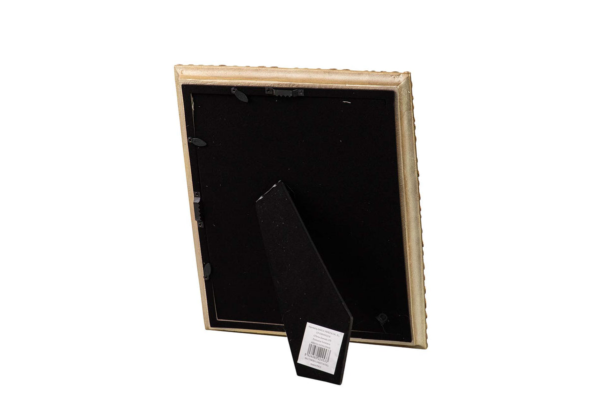 Dorado Harz Portfotos 20x25 cm