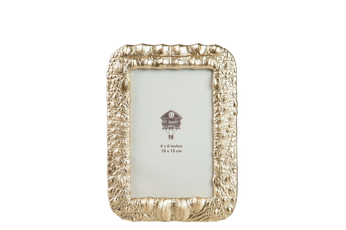 Goldharz -Portfotos 10x15 cm