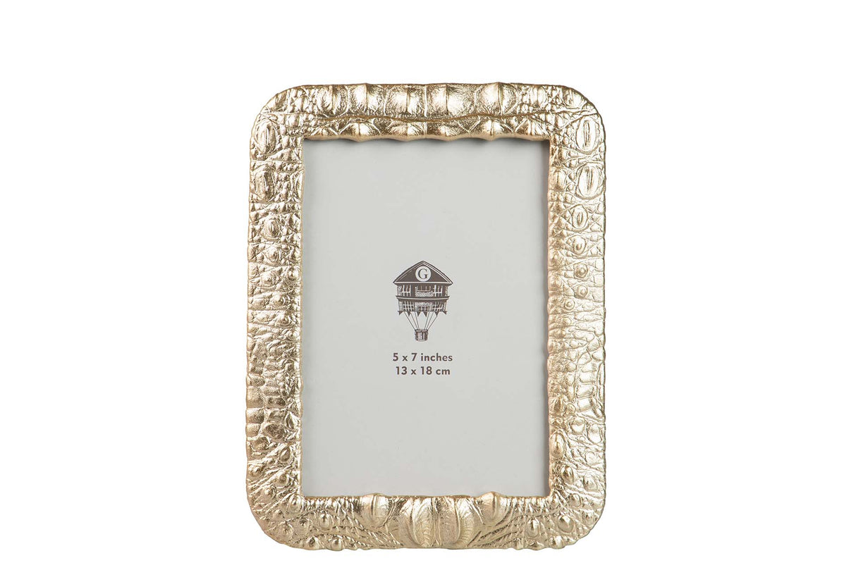 Porks de résine Dorado 13x18 cm