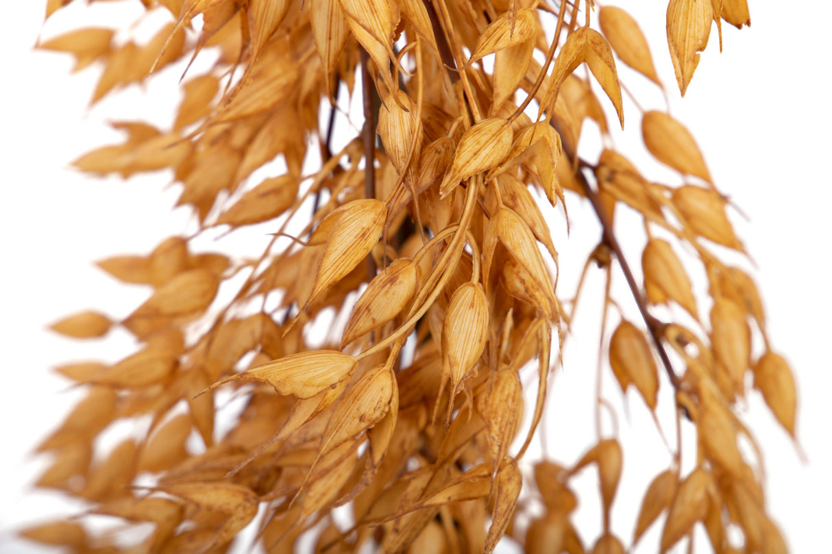 GUIRNALDA FLORAL 28x28x140 CM