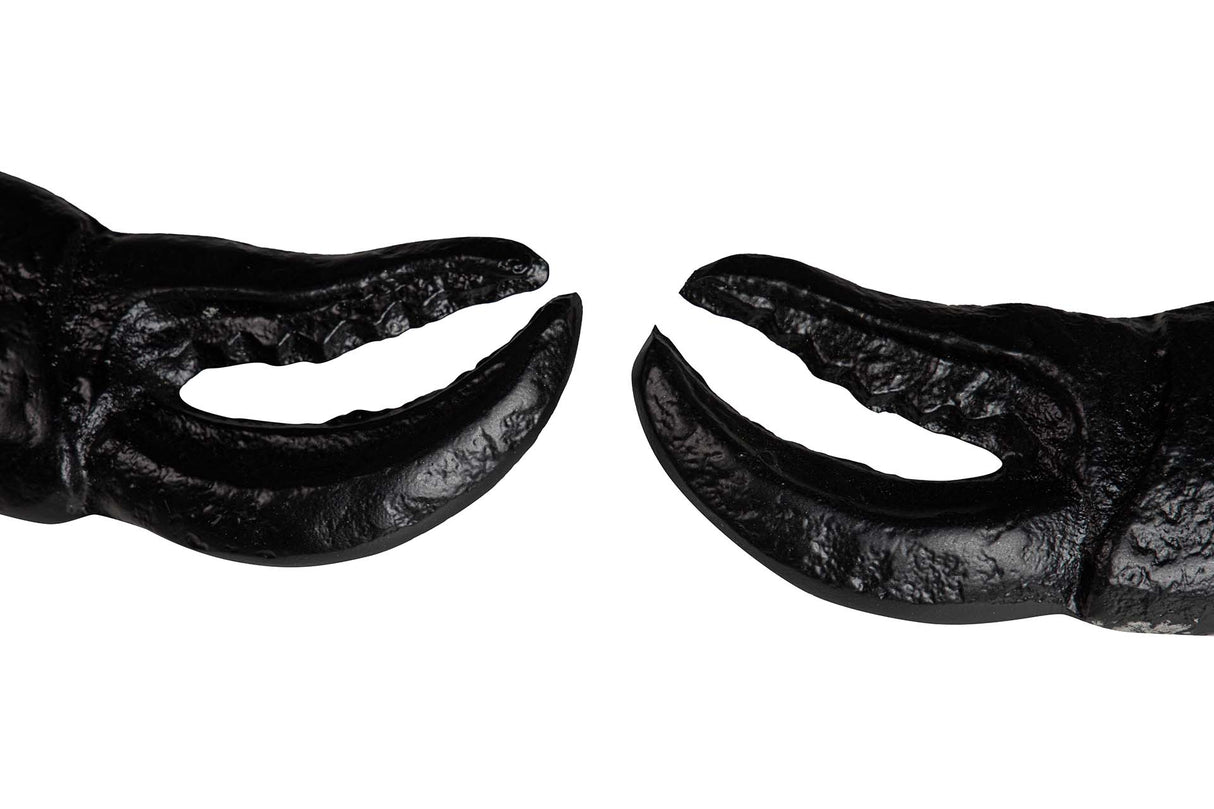 Schwarzer Aluminium -Krabben -Champanera 68x53x17 cm