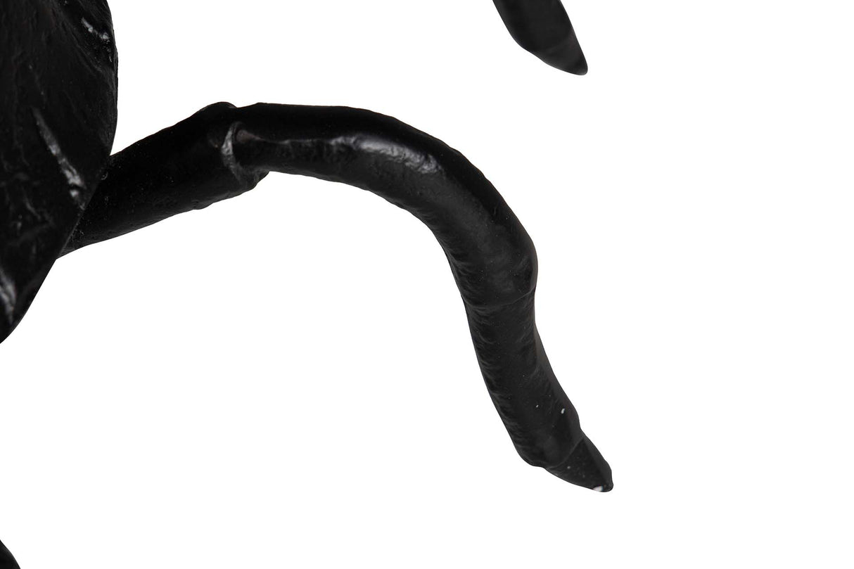 Schwarzer Aluminium -Krabben -Champanera 68x53x17 cm