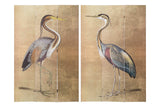 BIOMBO CANVA GARZAS 120x3x180 CM