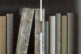 Bibliothèque Canva Biombo 120x3x180 cm