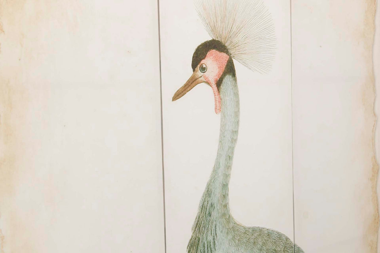 BIOMBO CANVA GARZAS 120x3x180 CM