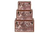 SET 3 BAULES 59x35x35 49x30x30 39x25x25 CM