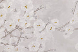 Box d'amande à 80% à main 120x4x80 cm