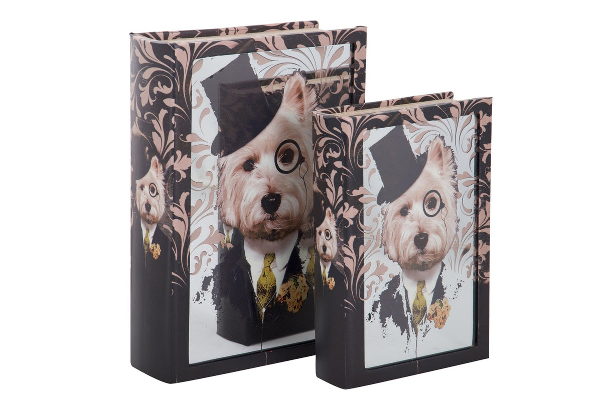 Set 2 Boxes Mirror Book 21x7x30 / 16x5x24 cm