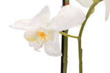 Weißer Polyester Orchidee mit Topf 34x34x71 cm