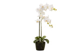 Weißer Polyester Orchidee mit Topf 34x34x71 cm