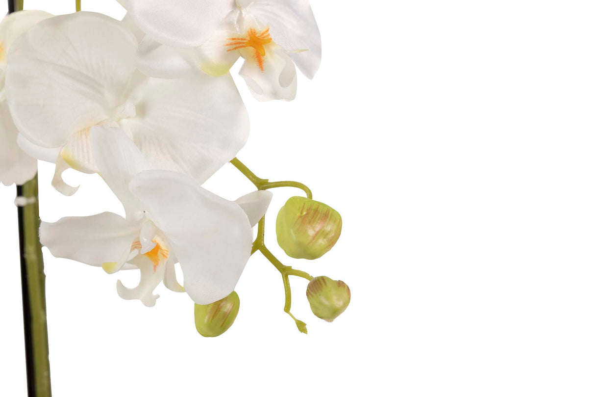 Weißer Polyester Orchidee mit 45 x 45 x 86 cm Topf