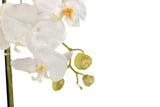 Weißer Polyester Orchidee mit 45 x 45 x 86 cm Topf