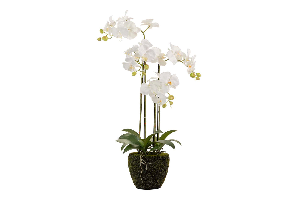 Weißer Polyester Orchidee mit 45 x 45 x 86 cm Topf