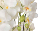 Weißer Polyester Orchidee mit 70 x 70 x 155 cm Topf