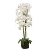 Weißer Polyester Orchidee mit 70 x 70 x 155 cm Topf