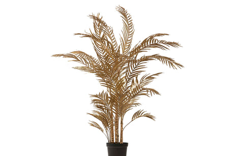 Palme d'or avec un pot de 82x60x135 cm