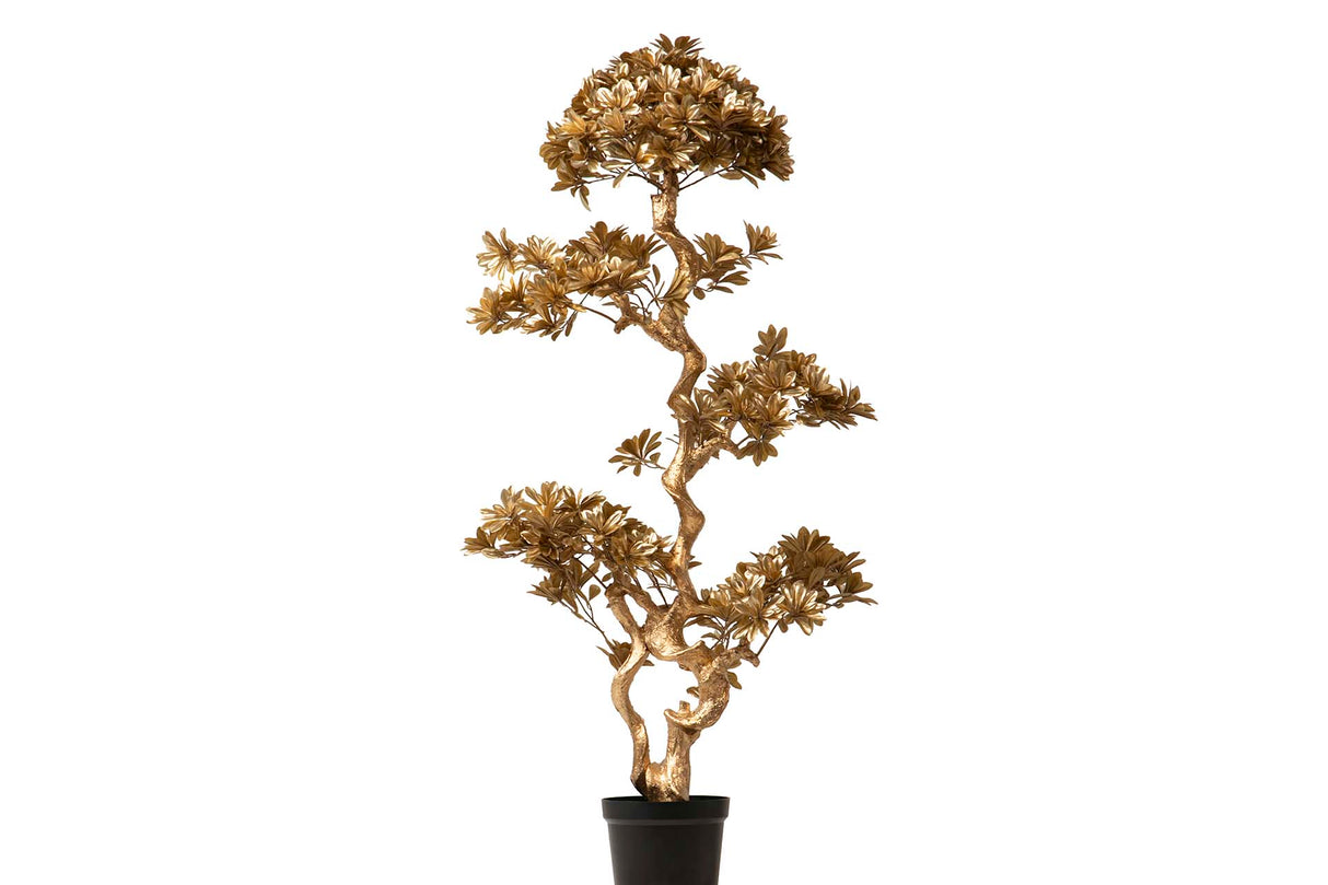 Albero bonsai dorado con pentola da 75x50x152 cm