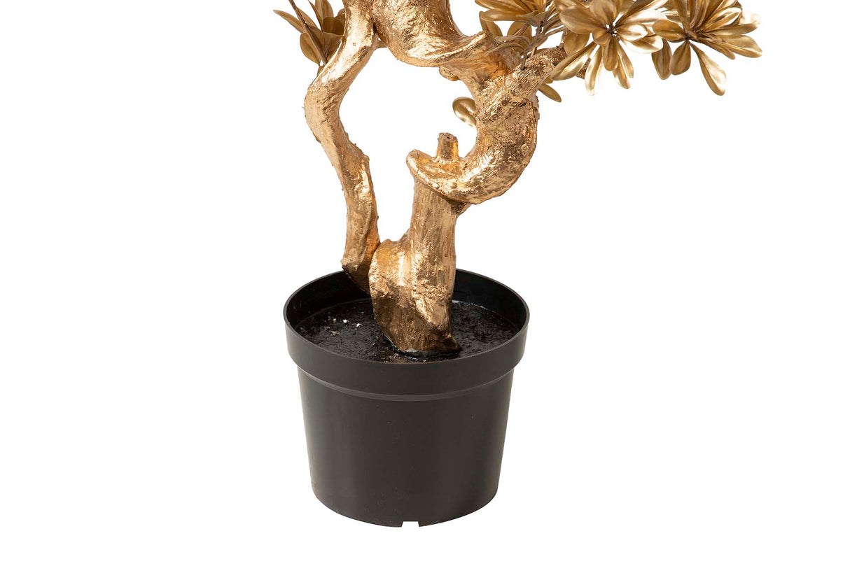 Albero bonsai dorado con pentola da 75x50x152 cm