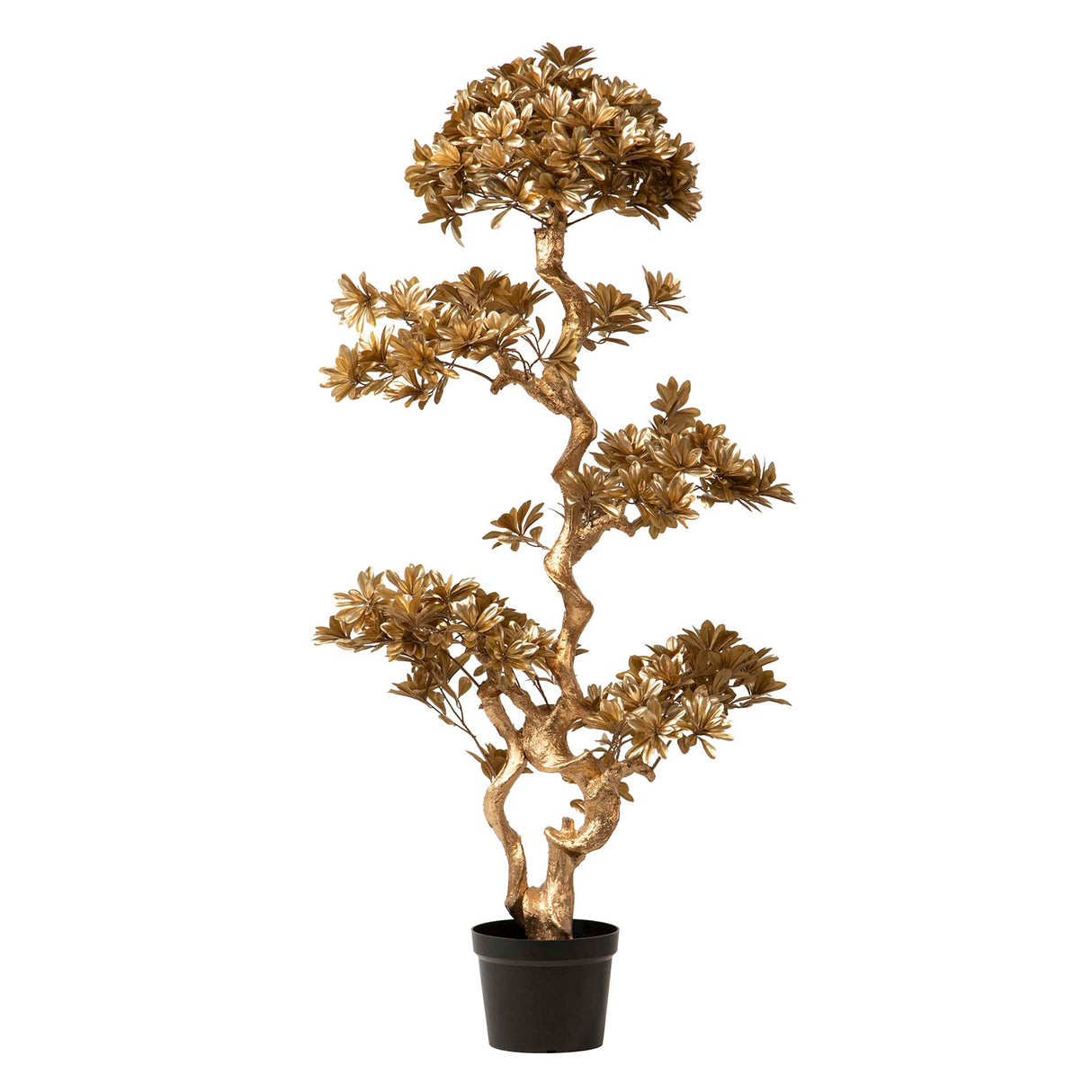 Albero bonsai dorado con pentola da 75x50x152 cm