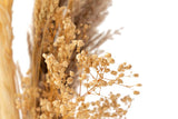 BOUQUET FLORES SILVERESTRES PRESERVADAS 26x15x43CM