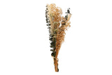 BOUQUET FLORES SILVERESTRES PRESERVADAS 26x15x43CM