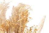 BOUQUET FLORES SILVERESTRES PRESERVADAS 30x14x68CM