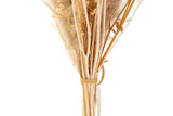 BOUQUET FLORES SILVERESTRES PRESERVADAS 30x14x68CM