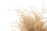 BOUQUET FLORES SILVERESTRES PRESERVADAS 30x14x68CM
