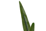 PLANTA ORQUIDEA CYMBIDIUM 70x70x110 CM