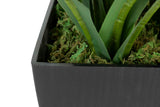 PLANTA ORQUIDEA CYMBIDIUM 70x70x110 CM