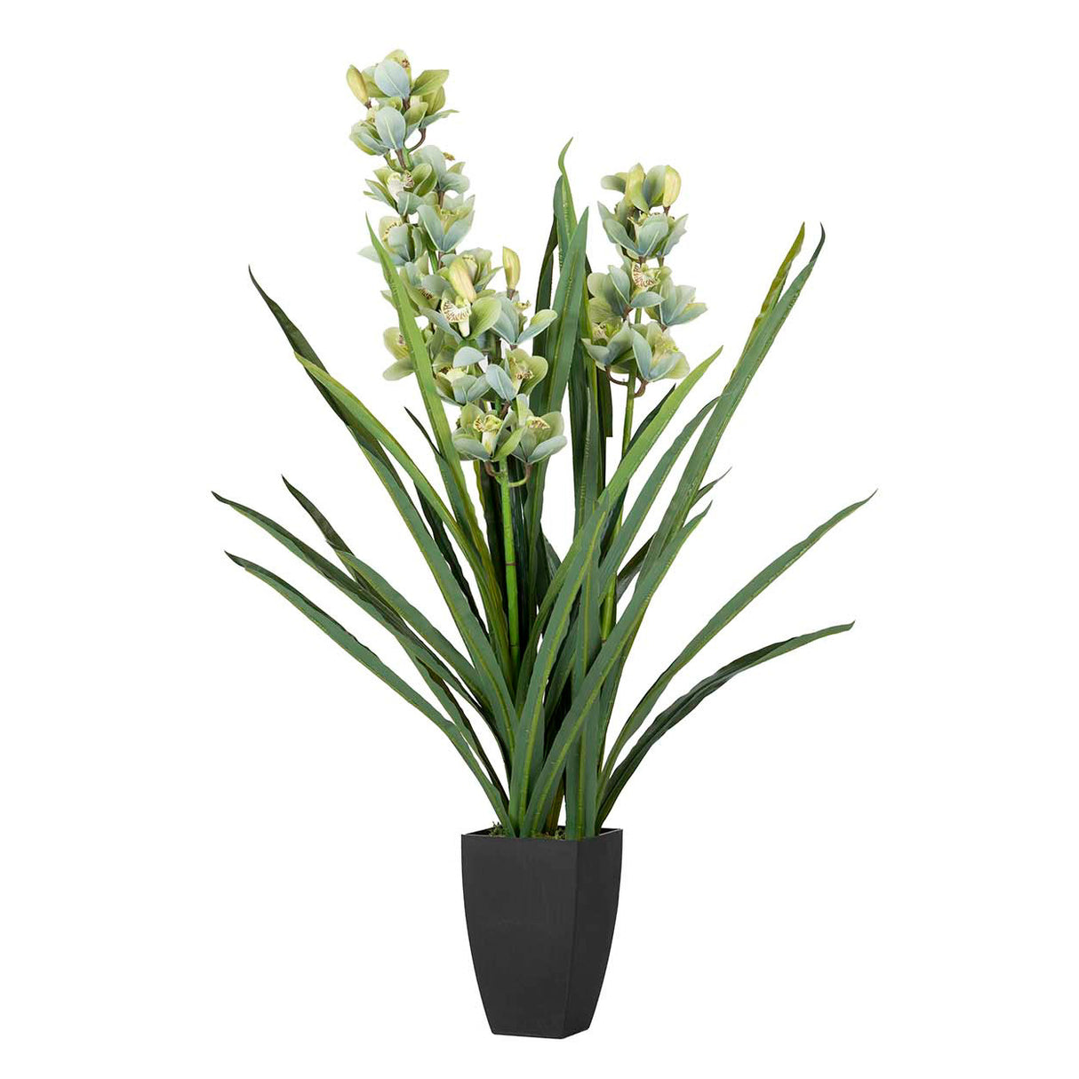 PLANTA ORQUIDEA CYMBIDIUM 70x70x110 CM