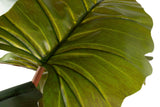 Esculenta Colocasia Plant 150x150x220 cm