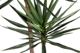 PLANTA YUCCA 90x70x180 CM