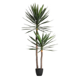 PLANTA YUCCA 90x70x180 CM