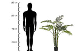 Areca Palma Plant 80x80x140 cm