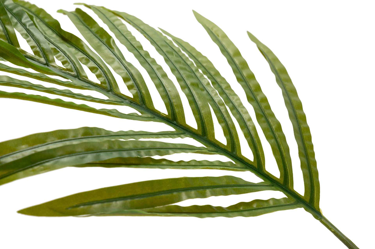 Areca Palma Plant 80x80x140 cm