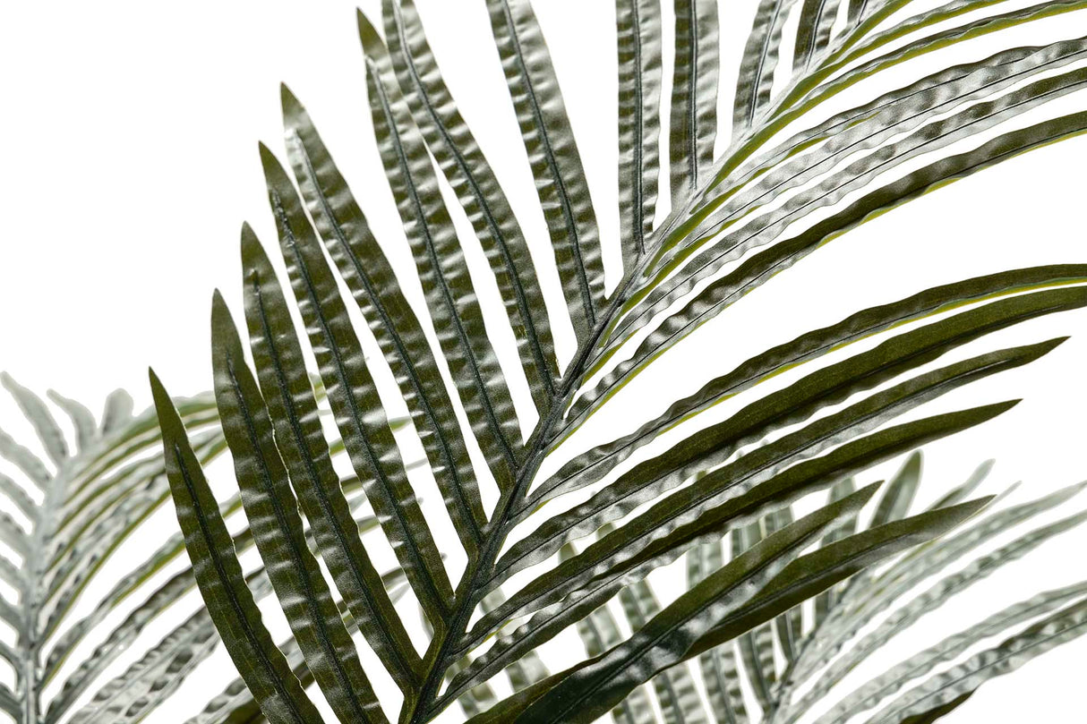 Areca Palma Plant 80x80x140 cm