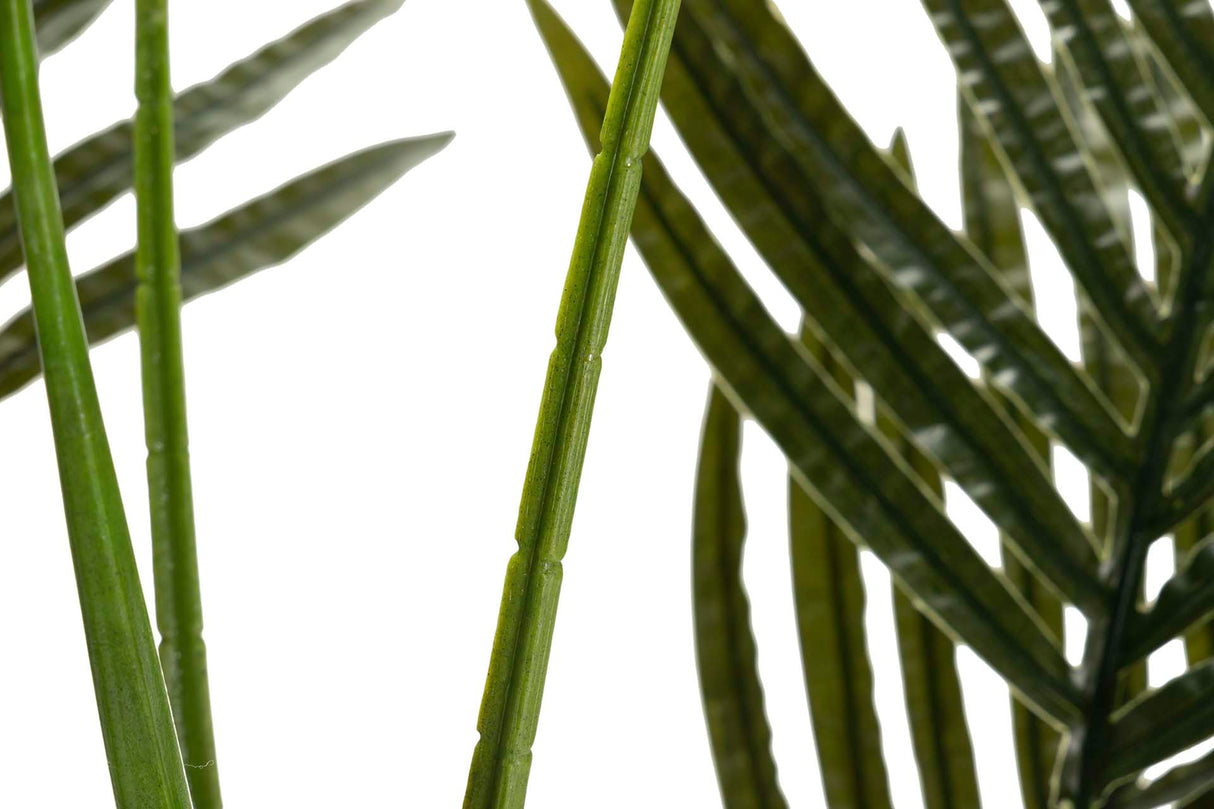 Areca Palma Plant 80x80x140 cm