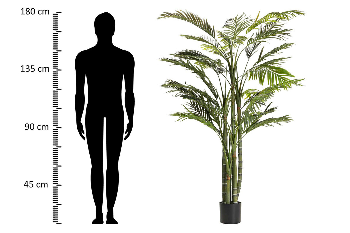 Areca Palma Plant 110x110x190 cm