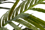 Areca Palma Plant 110x110x190 cm