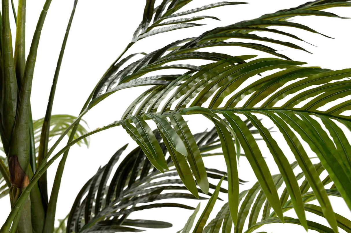 Areca Palma Plant 110x110x190 cm