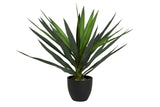 PLANTA YUCCA CON MACETA 70x70x70 CM