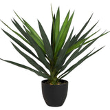 Planta de Yucca com panela 70x70x70 cm