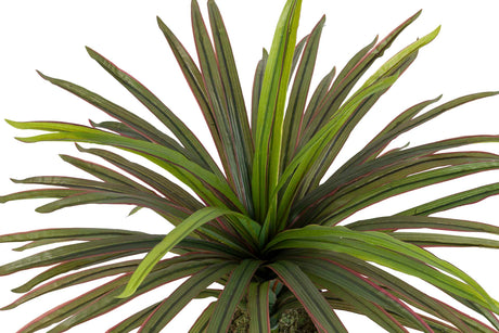 PLANTA YUCCA CON MACETA 58x58x58 CM