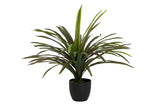 PLANTA YUCCA CON MACETA 58x58x58 CM