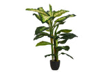 PLANTA DIEFFENBACHIA DOTIED CON MACETA 55x55x130CM