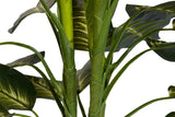 PLANTAQ DIEFFENBACHIA CON MACETA 60x60x100 CM