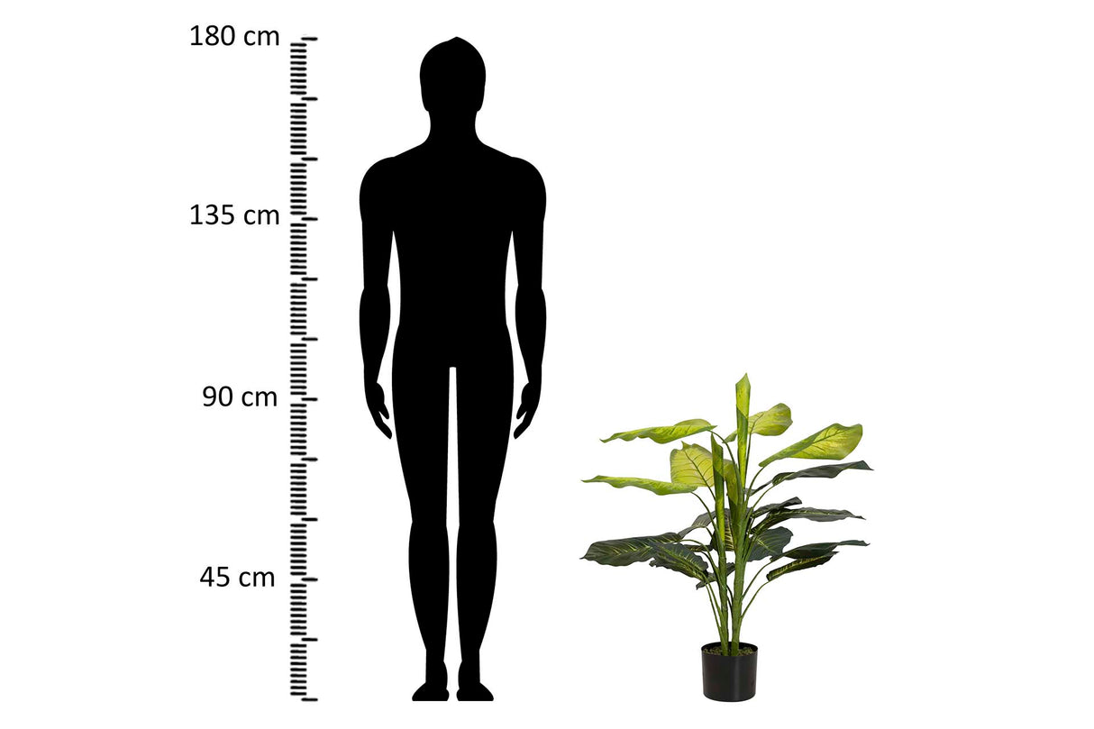 PLANTAQ DIEFFENBACHIA CON MACETA 60x60x100 CM