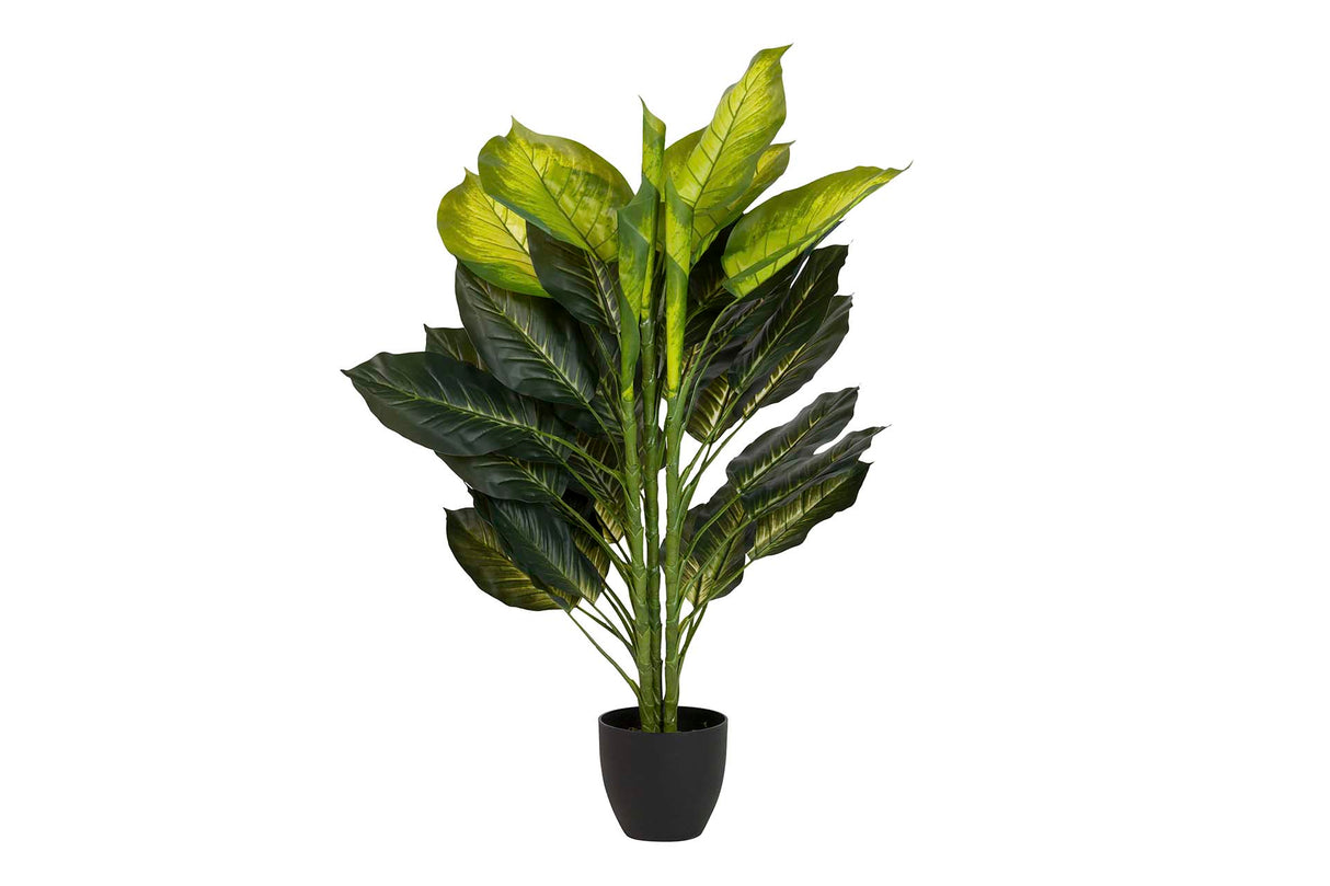 PLANTA DIEFFENBACHIA CON MACETA 65x65x113 CM