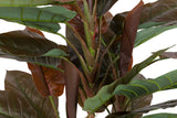 PLANTA CORDYLINE CON MACETA 80x80x110 CM